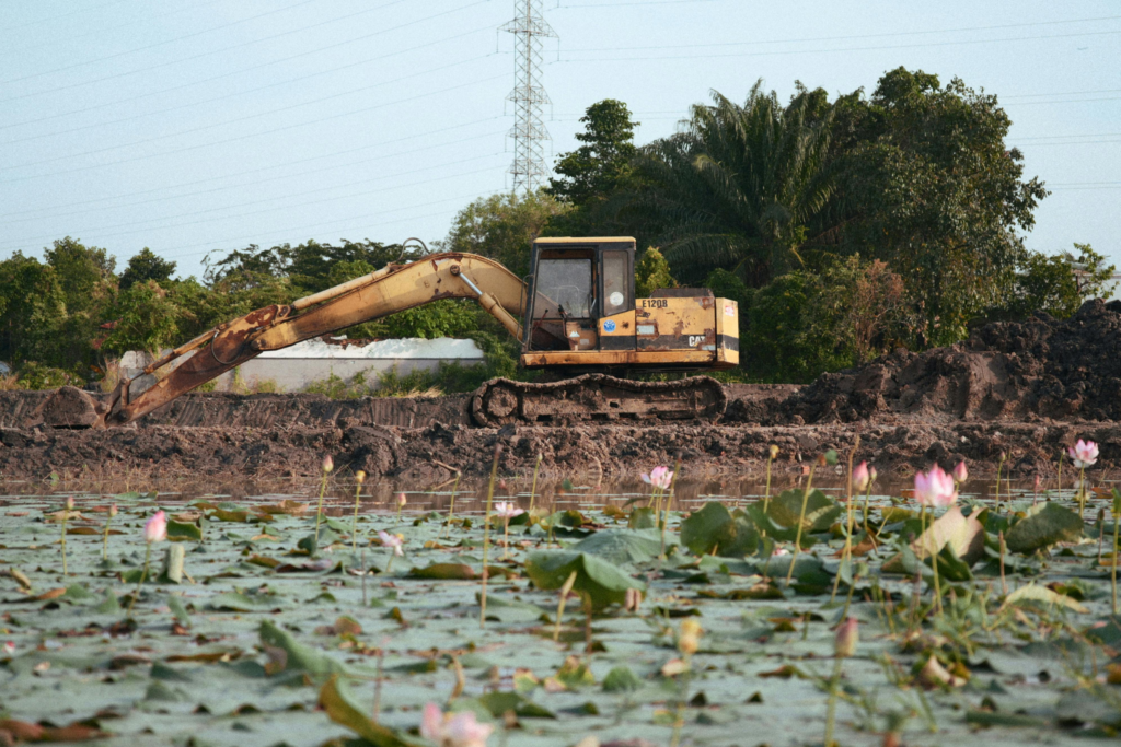 Clearing property for building