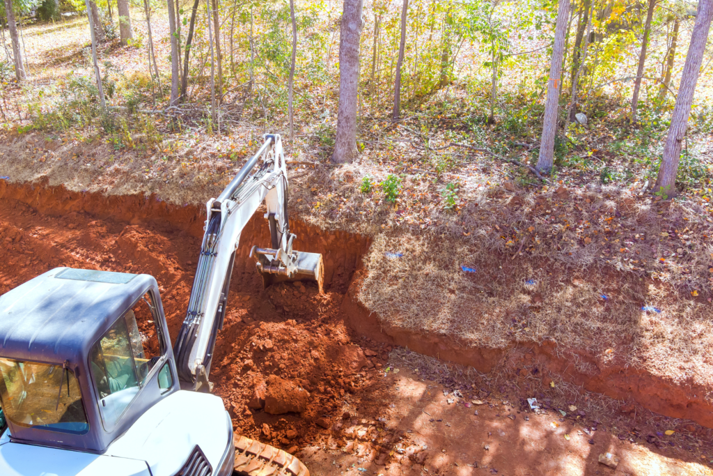 Unearthing project in forest