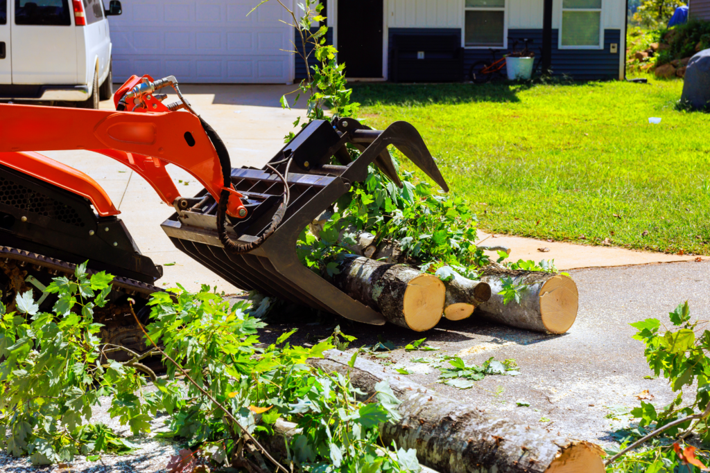 Lot clearing in action