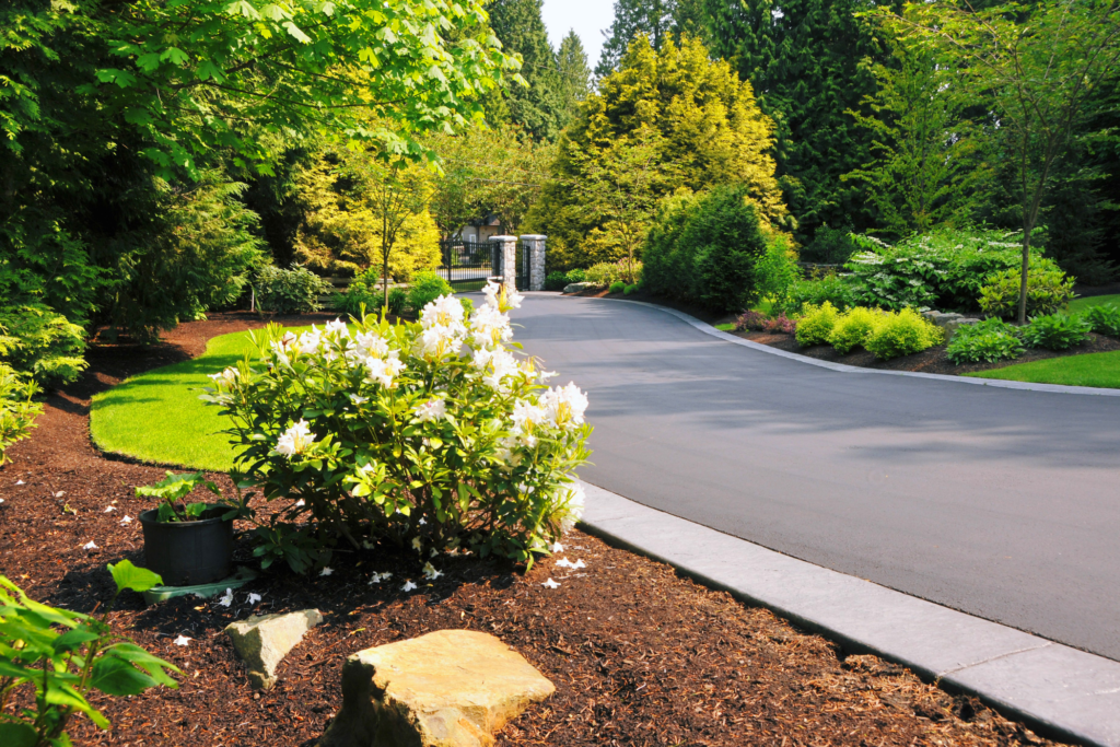 Beautiful driveway 