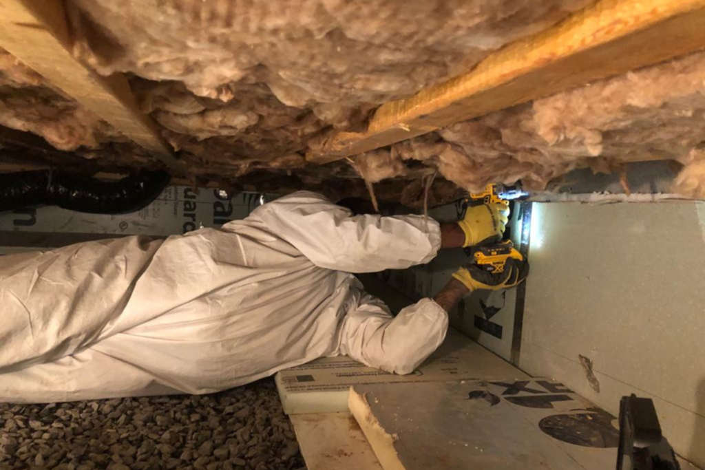 crawl space remediation process