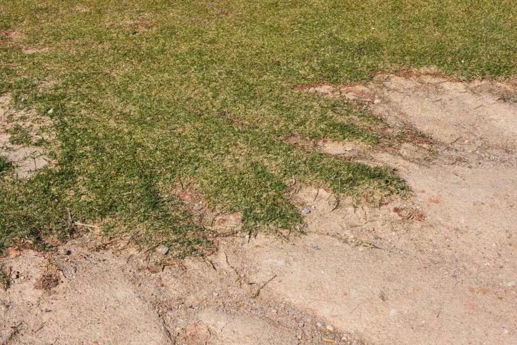 Uncontrolled erosion in yard Uncontrolled erosion in yard